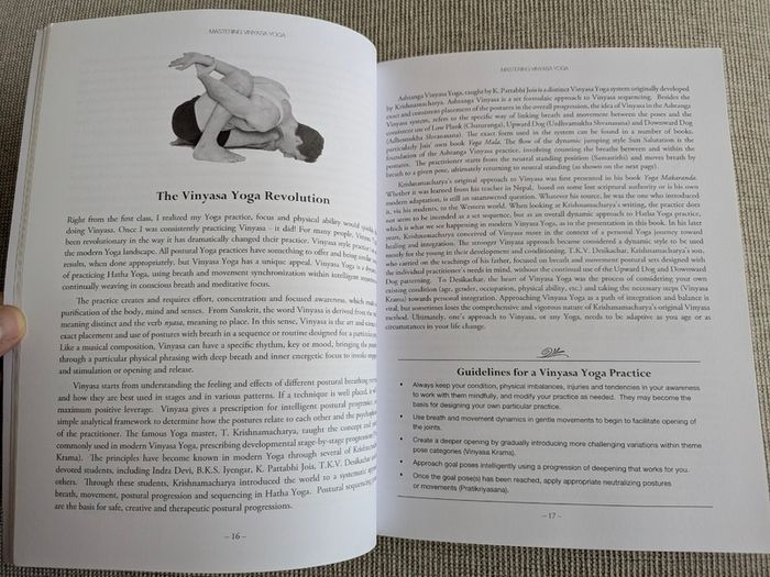 Mastering Vinyasa Yoga - Raji Thron - Yoga Sequencing & Teacher Training