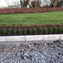 Box Hedging Image 7