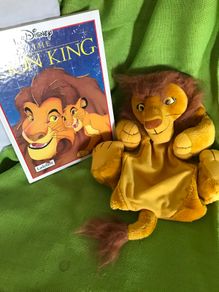 The Lion King Book and Pyjamas/Nightie case