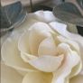 ShabbyChic Jug and Flowers Image 2