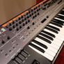 Roland - SYSTEM-8 | PLUG-OUT Synthesizer [+ extras] Image 4