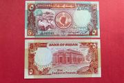 Sudan  5 Sudanese Pounds  1991  ( Uncirculated )