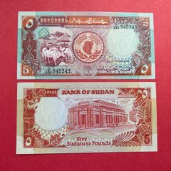 Sudan  5 Sudanese Pounds  1991  ( Uncirculated )