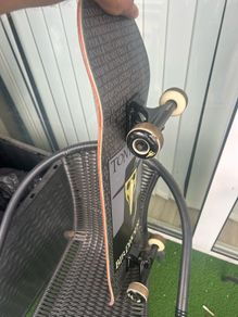 Tony Hawk Birdhouse
