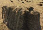 Small square bales of hay