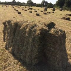 Small square bales of hay