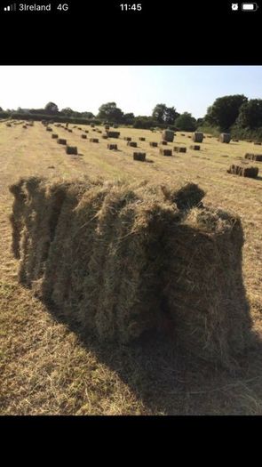 Small square bales of hay