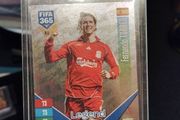 Fernando Torres