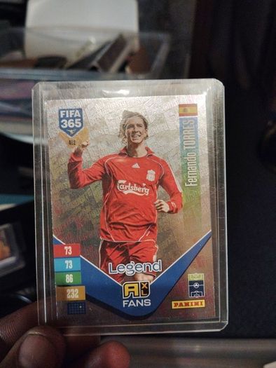 Fernando Torres