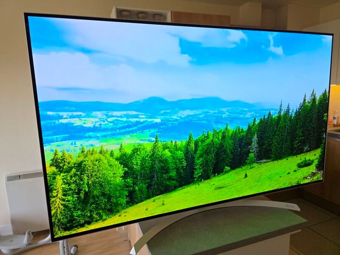 LG OLED55' 4K Smart TV - Includes Magic Remote
