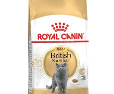 Cat food