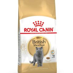 Cat food