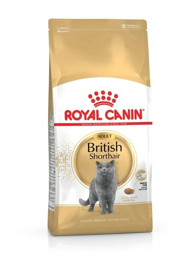Cat food