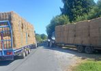 hay.