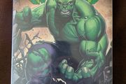 Incredible Hulk by Peter David Omnibus Vol 5