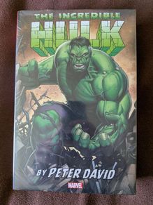 Incredible Hulk by Peter David Omnibus Vol 5