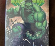Incredible Hulk by Peter David Omnibus Vol 5