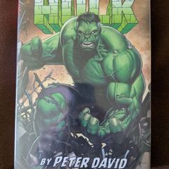 Incredible Hulk by Peter David Omnibus Vol 5