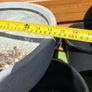 x10 Plastic pots / planters Image 4