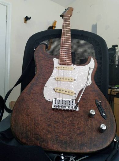 stratocaster style custom build strat