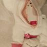 Barbie vet dog in bag Image 8