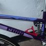 Girls Bicycle Image 2