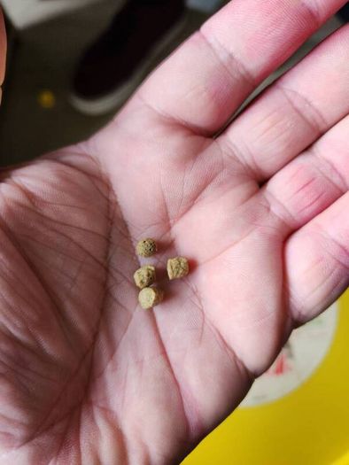 Cichlids fish food pellets