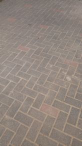 Paving Bricks