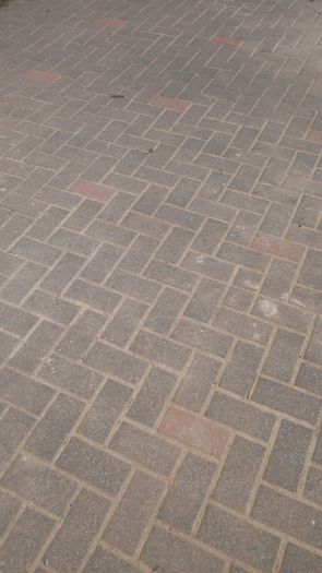 Paving Bricks
