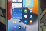 ipad mini 4 128GB