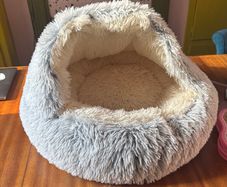 cat/dog bed