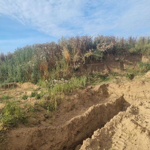 Top Soil for sale