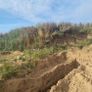 Top Soil for sale Image 2