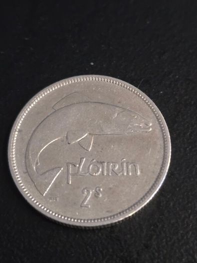 Irish silver Florin