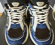 Dior B30 shoe's