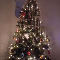 Arnotts Christmas Tree Realistic Beautiful ! Artificial