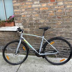 Trek Fx 2021 L Frame
