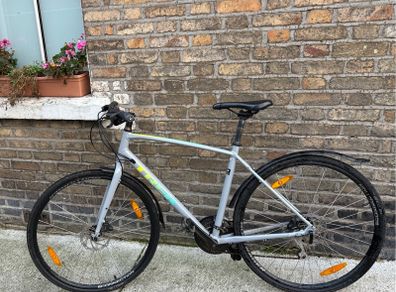 Trek Fx 2021 L Frame