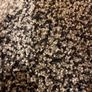 Carpet samples Image 4