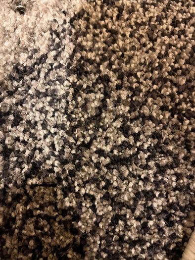 Carpet samples