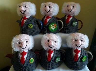 Michael D Higgins Tea Cosy