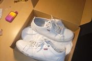 levis shoes