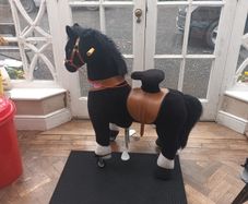 Toy