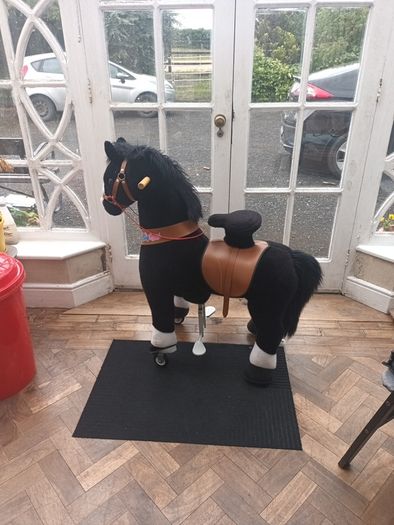 Toy