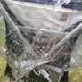 buggy and new rain cover Image 2