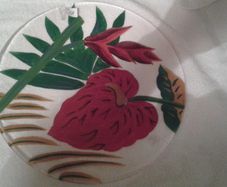 Fab Splatter Plate.