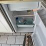 fridge and dishwasher Image 2