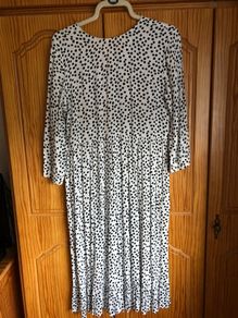 Zara dress