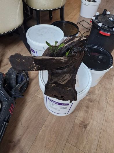 fish tank wood