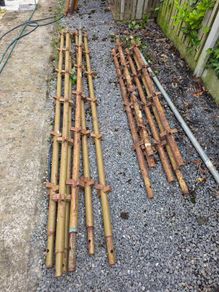 Scaffolding